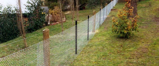 Post & Wire Fencing